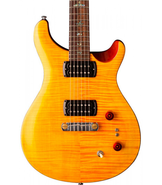 prs paul's se